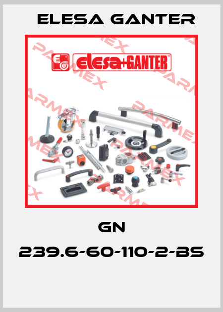 GN 239.6-60-110-2-BS  Elesa Ganter