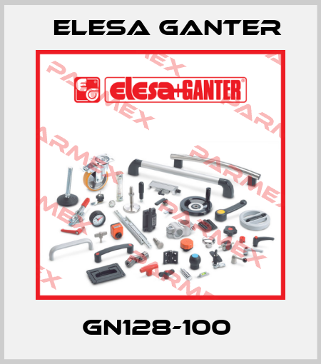 GN128-100  Elesa Ganter