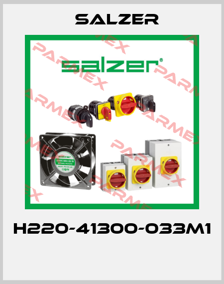 H220-41300-033M1  Salzer