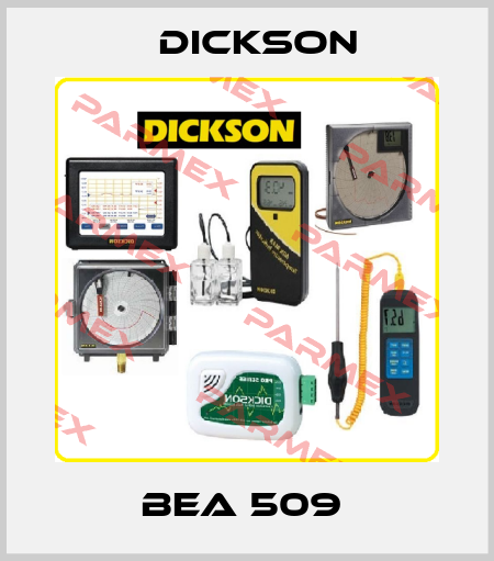 BEA 509  Dickson