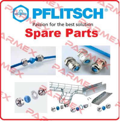 21650upm2x4  PFLITSCH
