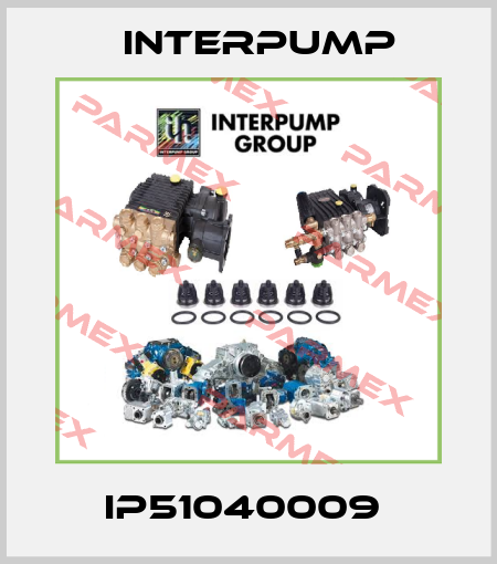 IP51040009  Interpump