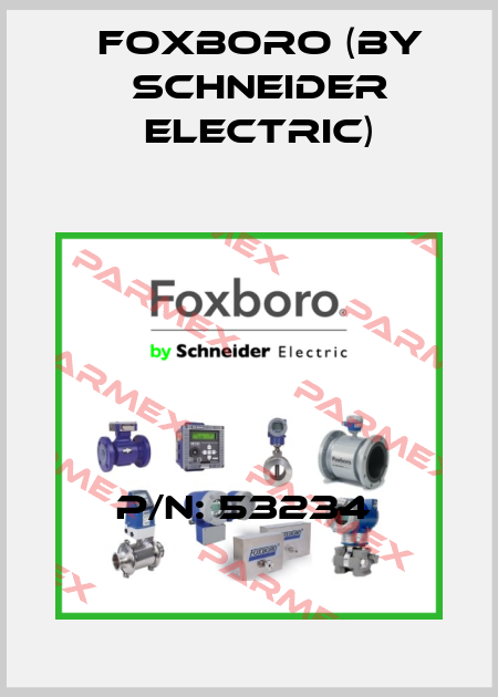 P/N: 53234  Foxboro (by Schneider Electric)