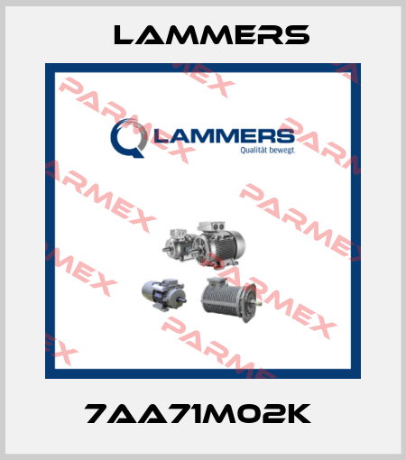 7AA71M02k  Lammers