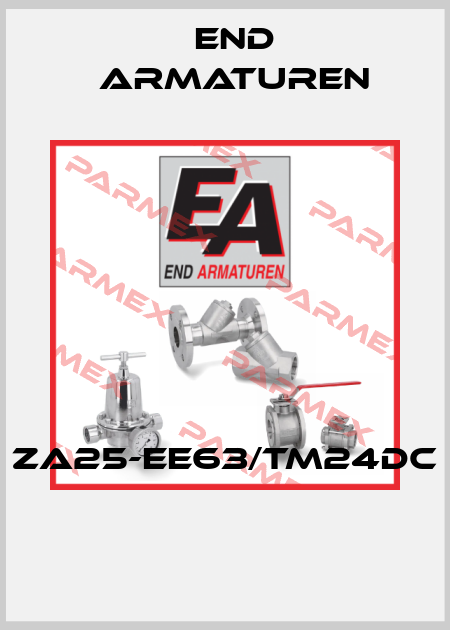 ZA25-EE63/TM24DC  End Armaturen
