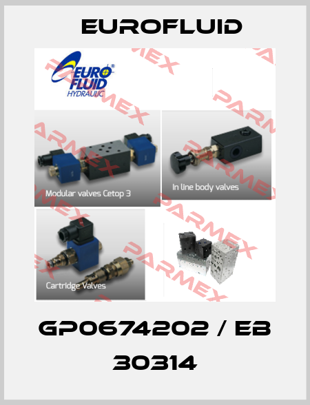 GP0674202 / EB 30314 Eurofluid