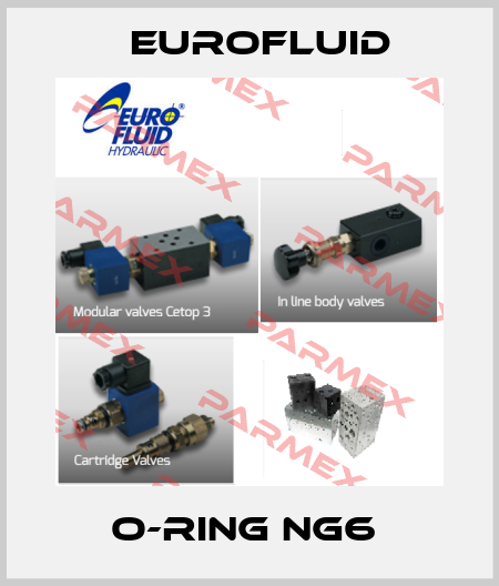 O-Ring NG6  Eurofluid