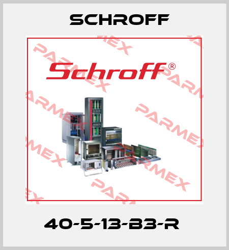 40-5-13-B3-R  Schroff