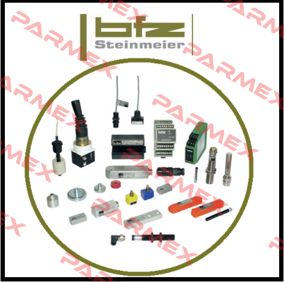 MG55 (V00MG000009)  BFZ STEINMEIER