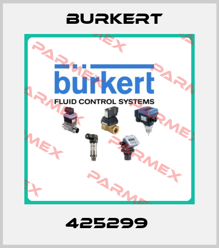 425299  Burkert