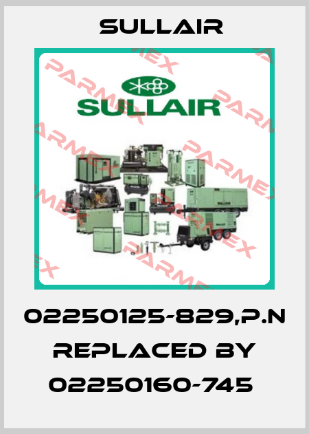 02250125-829,p.n replaced by 02250160-745  Sullair