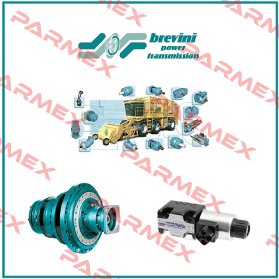 BG-S-160-2A-M08-CL250-N-XXXX-000-XXX-XX Brevini