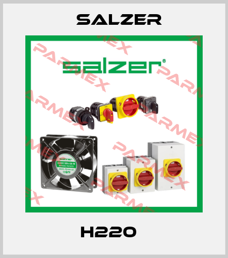 H220   Salzer
