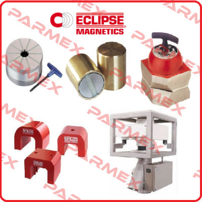 E821  Eclipse Magnetics