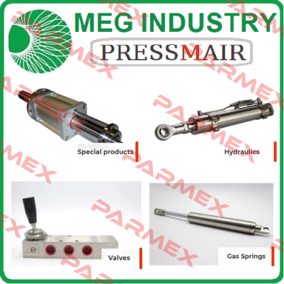 LP/07015.BSP Meg Industry (Pressmair)