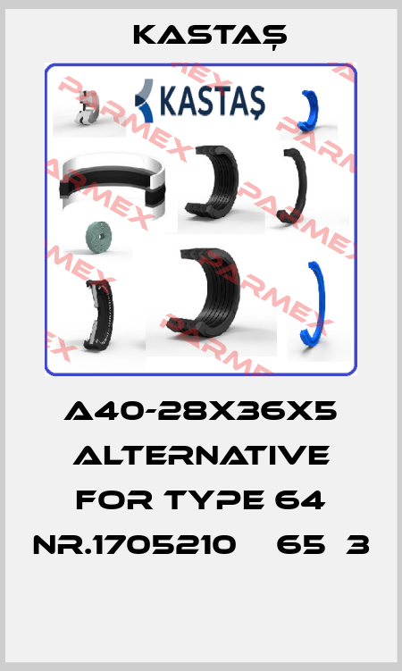 A40-28X36X5 alternative for Type 64 Nr.1705210（Φ65）3  Kastaş