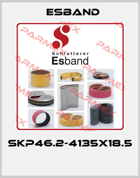 SKP46.2-4135X18.5  Esband