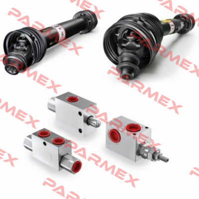 SMP1A19RS9GCEB5003  Bondioli & Pavesi