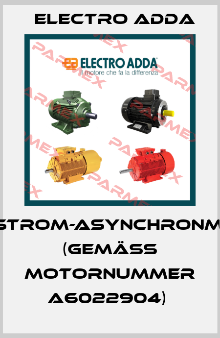 Drehstrom-Asynchronmotor (gemäß Motornummer A6022904)  Electro Adda