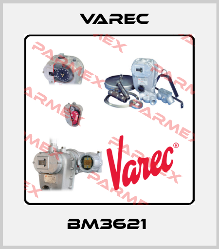  BM3621  Varec