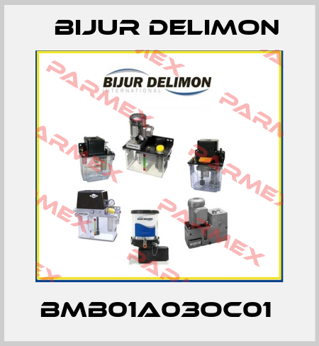 BMB01A03OC01  Bijur Delimon