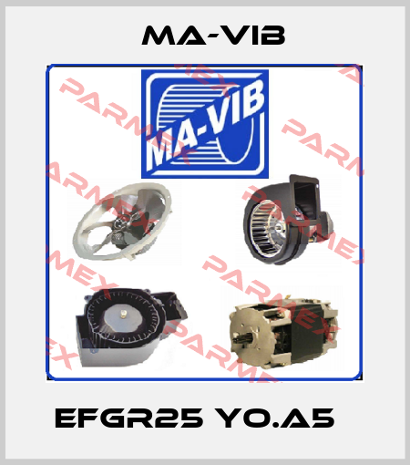 EFGR25 yo.A5   MA-VIB
