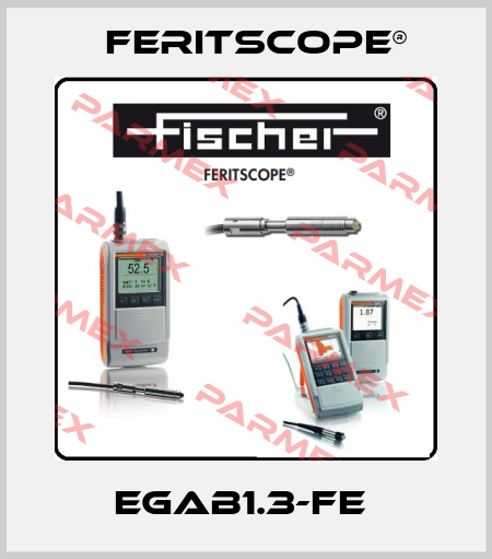 EGAB1.3-Fe  Feritscope®