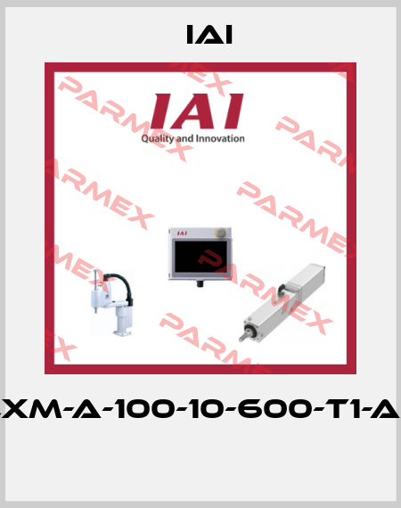 ISA-LXM-A-100-10-600-T1-AQ-NM  IAI