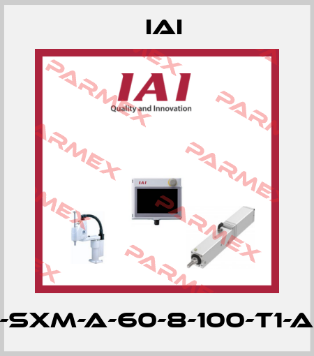 ISA-SXM-A-60-8-100-T1-AQ-B IAI