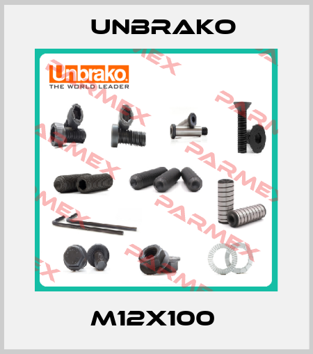 M12X100  Unbrako