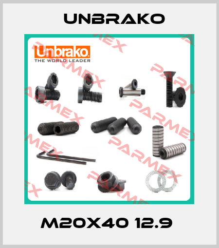 M20X40 12.9  Unbrako