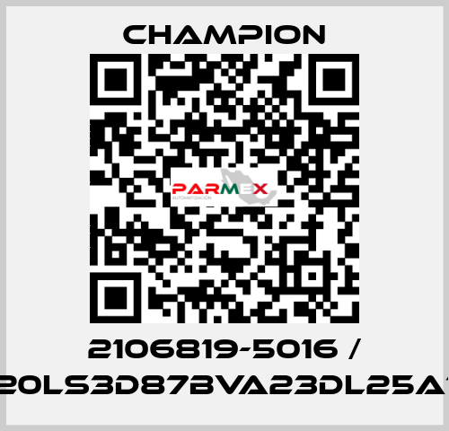2106819-5016 / G20LS3D87BVA23DL25A10 Champion