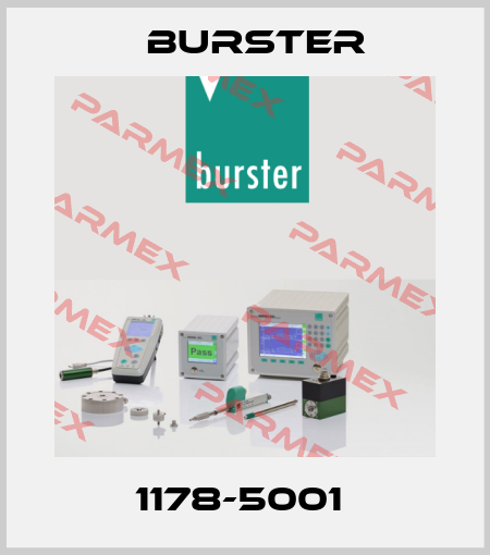 1178-5001  Burster