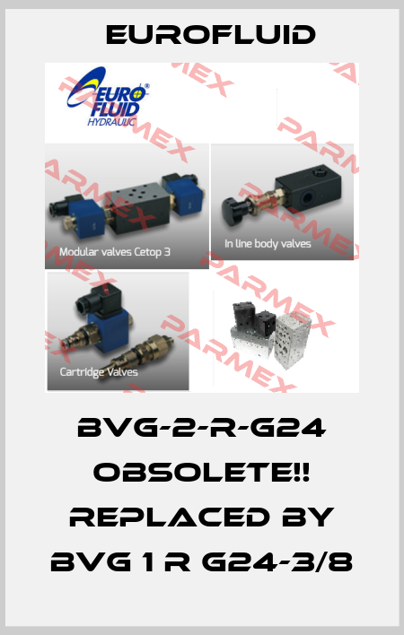 BVG-2-R-G24 Obsolete!! Replaced by BVG 1 R G24-3/8 Eurofluid