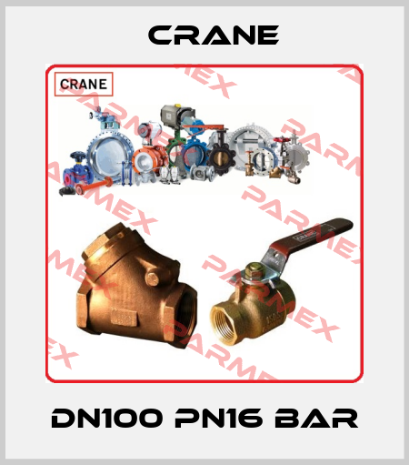 DN100 Pn16 bar Crane