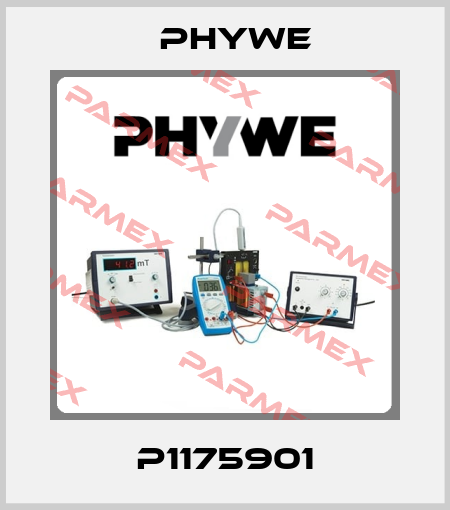 P1175901 Phywe