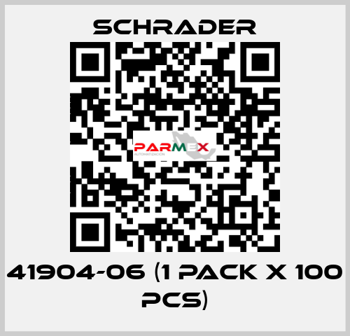 41904-06 (1 pack x 100 pcs) Schrader