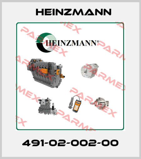 491-02-002-00 Heinzmann