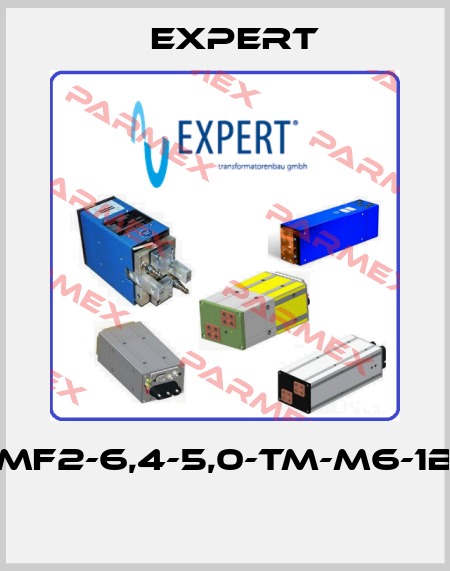 MF2-6,4-5,0-TM-M6-1B  Expert