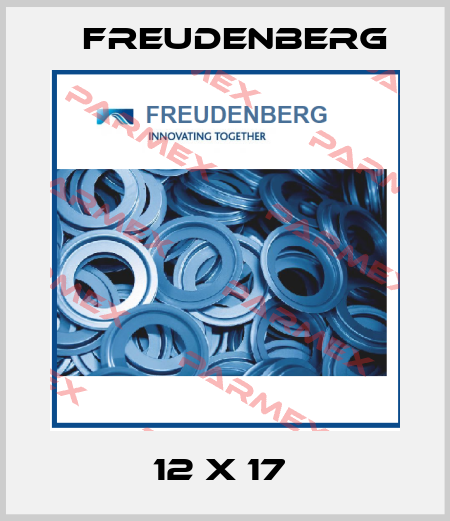 Freudenberg-12 X 17  price