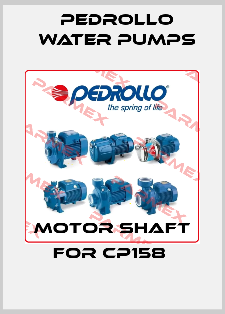 Motor shaft for CP158  Pedrollo Water Pumps