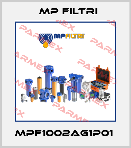 MPF1002AG1P01  MP Filtri