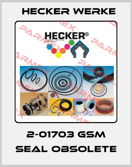 2-01703 GSM seal obsolete Hecker Werke