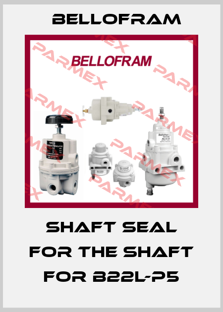 Shaft seal for the shaft for B22L-P5 Bellofram