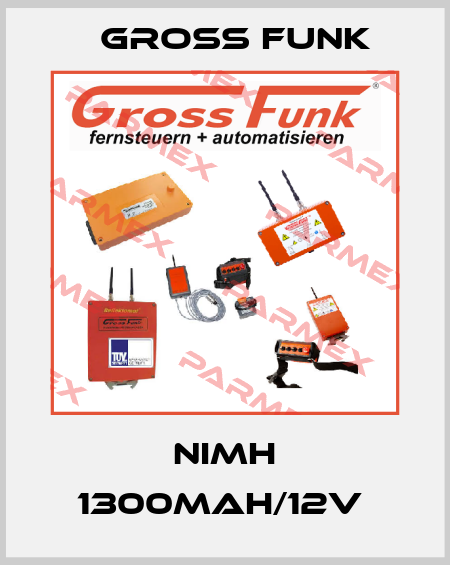 NIMH 1300MAH/12V  Gross Funk