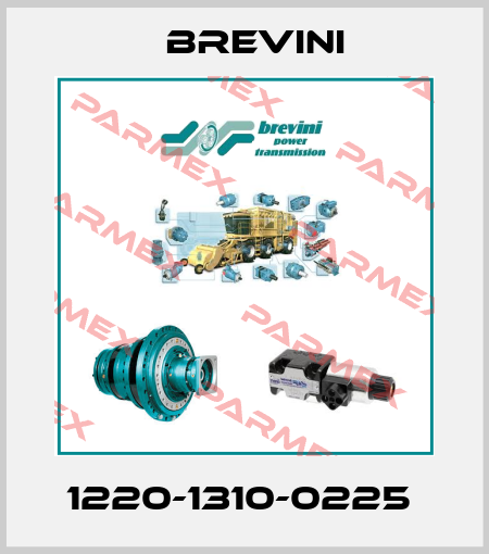 1220-1310-0225  Brevini