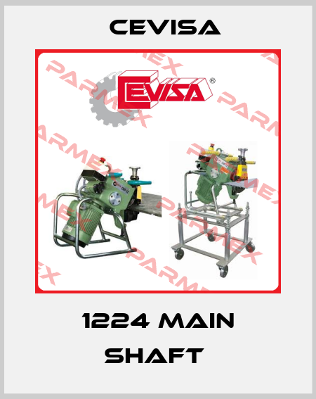 Cevisa-1224 MAIN SHAFT  price