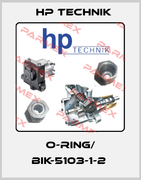 O-RING/ BIK-5103-1-2  HP Technik