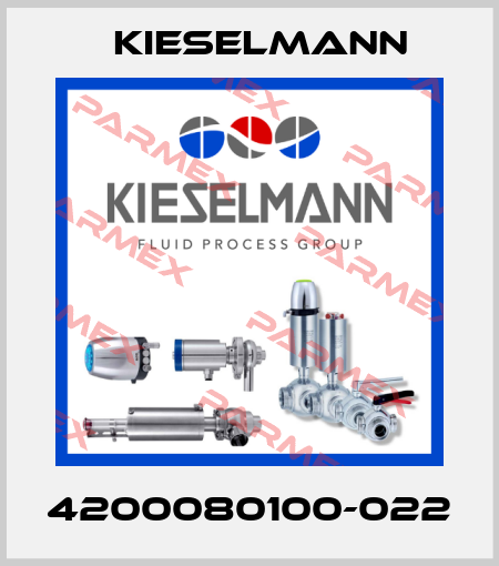 4200080100-022 Kieselmann