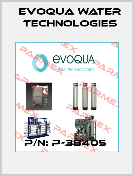 P/N: P-38405  Evoqua Water Technologies